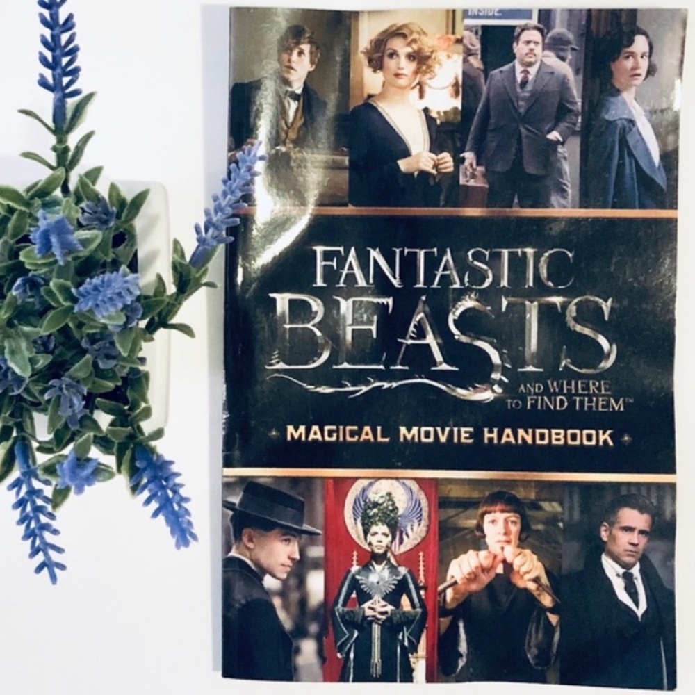 ✨5/$25 Magical Movie Handbook